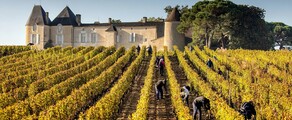Bordeaux vingårdar: helikopterupplevelse