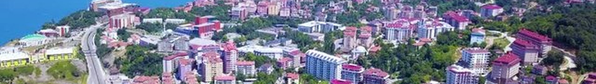 Zonguldak: uthyrning av privatjet